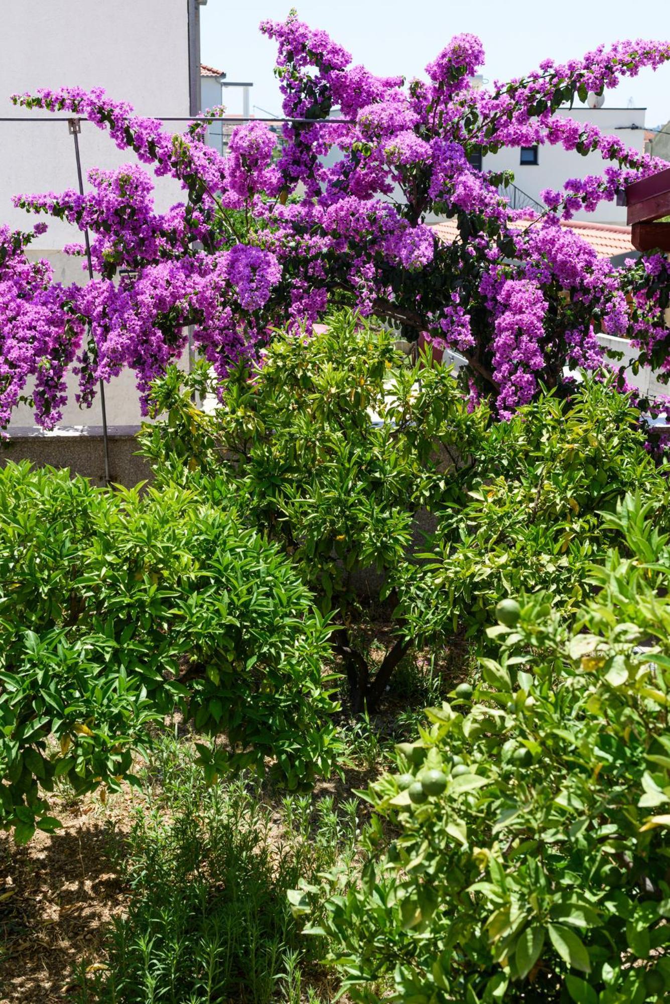 Apartments Jozic Trogir Exterior photo